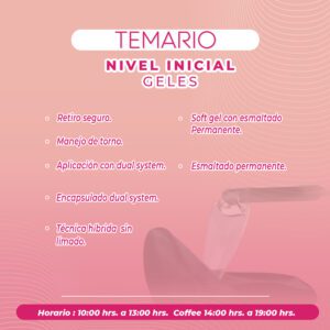 Curso Presencial: AcryPro & GellyPro Nivel Inicial en Santiago de Chile (PRE-VENTA HASTA 30 DE OCTUBRE) - Imagen 3